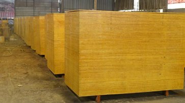 高質(zhì)量平價(jià)松桉木模板