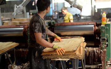 建筑木模板生產(chǎn)廠(chǎng)家-灰狼木業(yè)